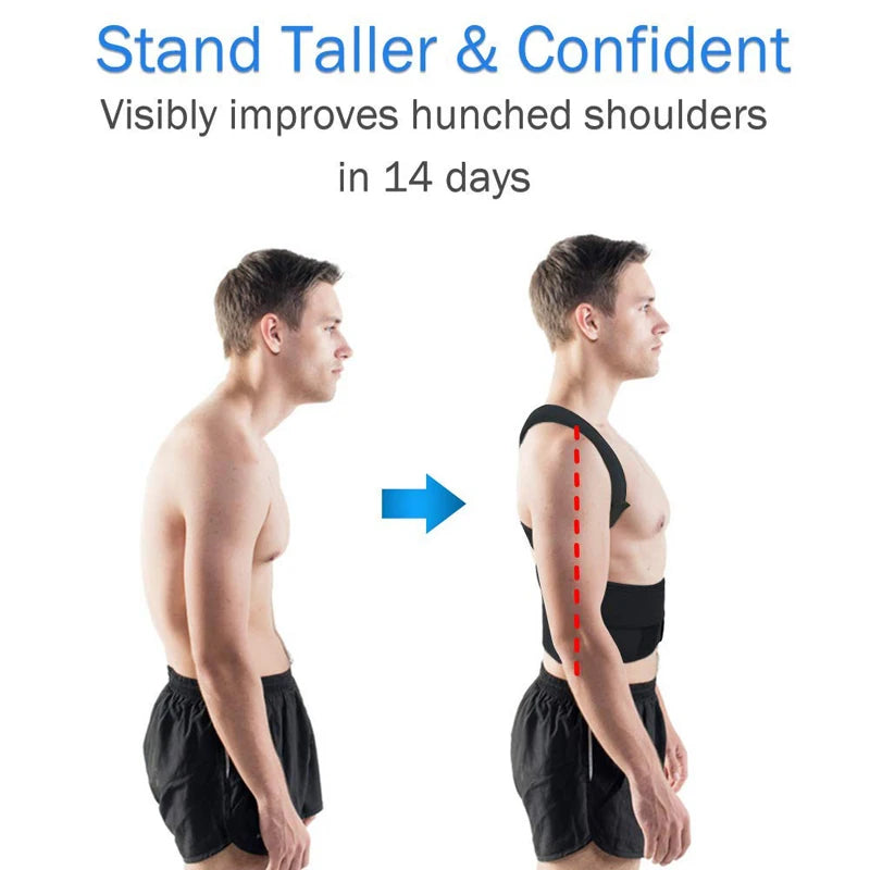 StraightBack Posture Support Belt
